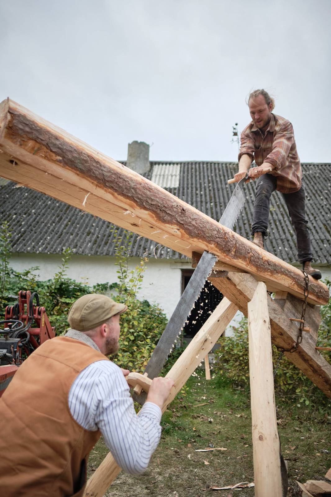 To tømrere saver en stamme op på langs med håndsav, mens stammen hviler på en bukke.